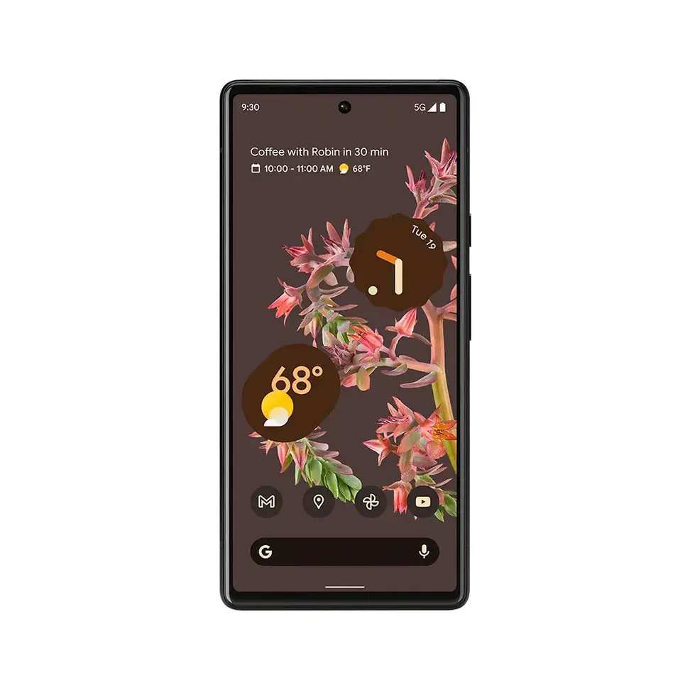 Thumbnail of Pixel 6